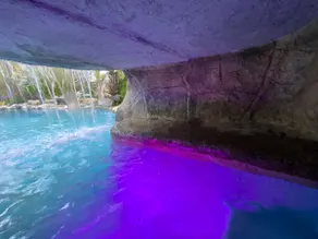 Luxury Tropical Oasis 8 BR-Pool Spa & Waterfalls! - Image 4