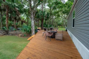The peaceful nest - relaxing nature escape - Image 3