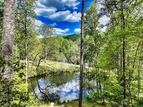 The Overlook - Fishable Pond, Hottub, Game Room - Image 3