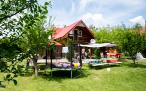 Ama Bliss • Cozy Mountain Cabin with Fireplace - Image 3