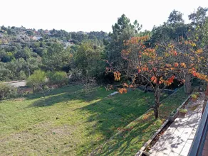 The best option to get away - Image 5