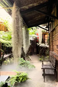 Thỏ Non Garden - Bảo Lộc Center 02 - Image 2