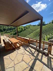 Divigna Hospitality - Prestige Vineyards Villa - Image 4