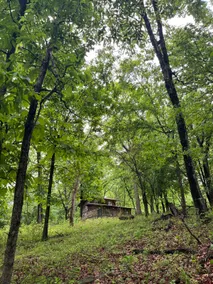 Hidden Mid-Century Cabin on 40 Private Acres - Image 4