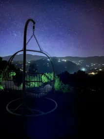 Unique Stay at Dog Shelter in Nature - Image 4