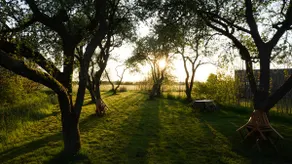 Anjewiel | Tiny House near Leeuwarden in nature - Image 4