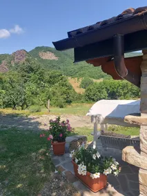 The Metato of Borgo Toggiano - Image 5