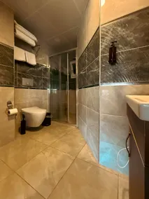 Deluxe Suite - Image 5
