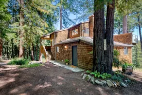 Canyon & Ocean View Cabin in the Redwoods - Image 5