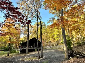 The Philosopher’s Retreat | 8-Acre Woodland Escape - Image 2