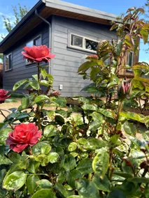 La Maisonette-Arcata-close to town, Hot Tub - Image 3