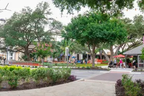 Little Havana at the Domain - Image 5