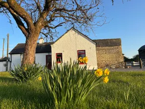 Glasson, Orchard Cottage-Traditional Irish cottage - Image 5