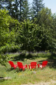 2BR Hobby Farm Cottage with Wood Sauna Near Ganges - Image 2