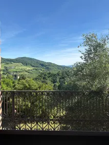 Villa Caiano pool with view - Image 5