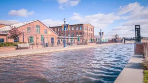 Huge, Downtown, Coffee, Breweries, Dogs & Babies - Image 5