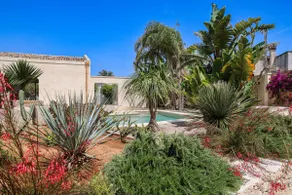 Masseria Limetta – Luxury Retreat - Image 5