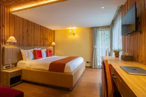 3-bhk Villa W/ Attic & Forest Views - Image 5