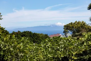 Onsen Private Villa | Izu View, BBQ, 10 Guests - Image 4