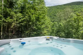 The Carriage House : Hot Tub|Games|Close to Slopes - Image 4