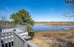 The MARSH LIFE. - Image 5
