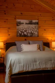 Twin Oaks Cabin - Image 4