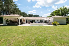Sunny Villa Nature - Image 2