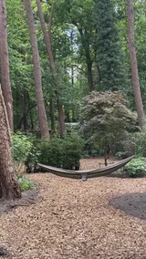 Forest cottage in Norg with hot tub, sauna + outdoor shower - Image 3