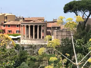 Guest House Alberto - Relax with a view of the greenery - Image 4