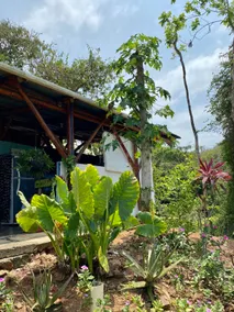 EcoCasa Azulverde with Breakfast and Pool - Image 5