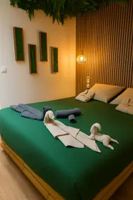 Jungle Room - Jacuzzi Sauna Cinema - Downtown - Image 4