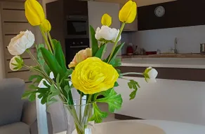 SilentHome - Image 3