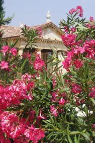 Love nest in landscaped park of historic Villa - Image 2