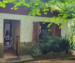 Casa La Paz: Peaceful Paradise– proceeds support Sustainability Center - Image 3