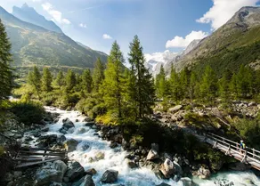 Sunny Cozy Chalet · Mountain Views · Near Trails - Image 5