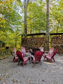 The Lincoln Lodge - 1 mile to Snowshoe entrance - Image 5
