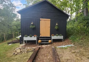 Primitive off grid cabin for couples - Image 4