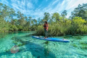 Renovated Coastal Escape | Boat Slip & Gulf Access - Image 3