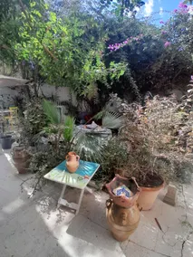 Slow Life Vacation Year - Image 2