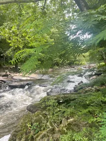 Cabin by the Creek - Image 5
