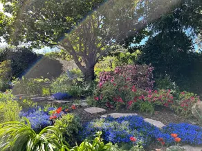 Sunny Inverness Home • Walk to Beach • Kids Yard! - Image 3