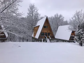 Black Gum- Forest Views-A-Frame-Near Bentonville - Image 3