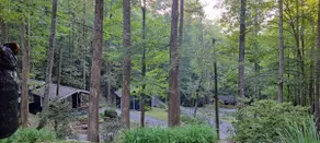Blue Smoke Cottage - Hot Tub - Fireplace - Pets OK - Image 4