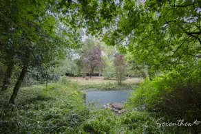 Private Estate Retreat•A World Away•Cambridgeshire - Image 4