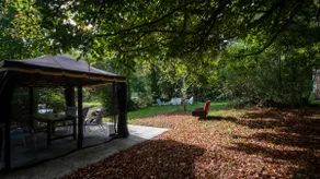 Le Petit Mona LIORA - Image 2