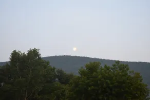 Trestle Farm - Image 5
