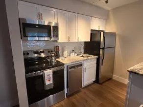 New Modern Apt in North Dallas - Image 3