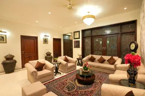 Palm 34 - Image 4