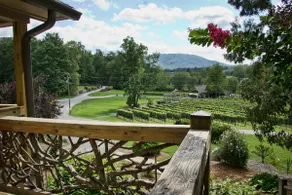 Mountain Vineyard Cottage - Image 2
