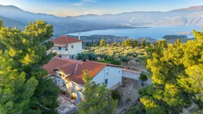 Superior Apartment | Sea View [60m²] - Olive - Image 2